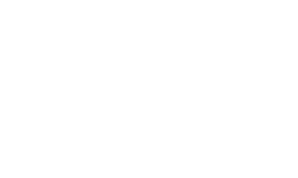 heims logo